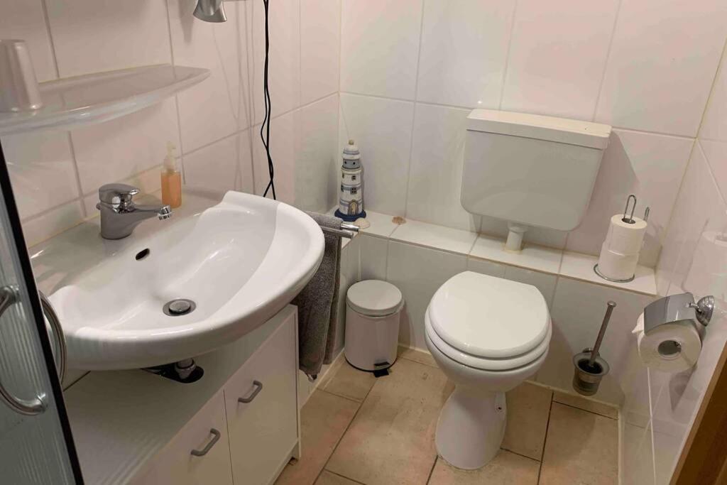 Ferienwohnung Schmidt Rosengarten  Dış mekan fotoğraf