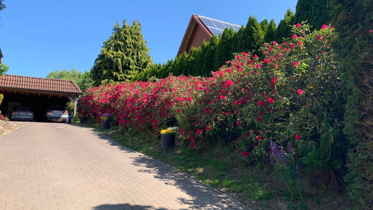 Ferienwohnung Schmidt Rosengarten  Dış mekan fotoğraf